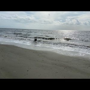 Meet your Posher, Thomas